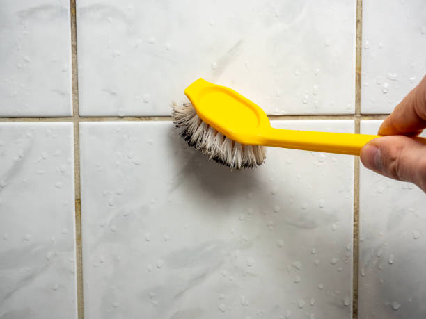 Best Localized Mold Remediation (e.g., coastal areas, humid climates) in Broadlands, VA
