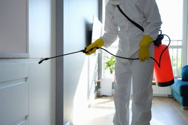 Best Industrial Mold Remediation in Broadlands, VA